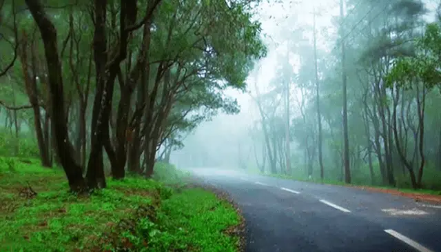 PonMudi